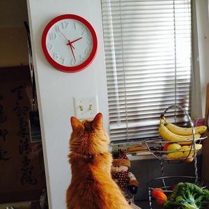 Meet your Posher, Suzanne